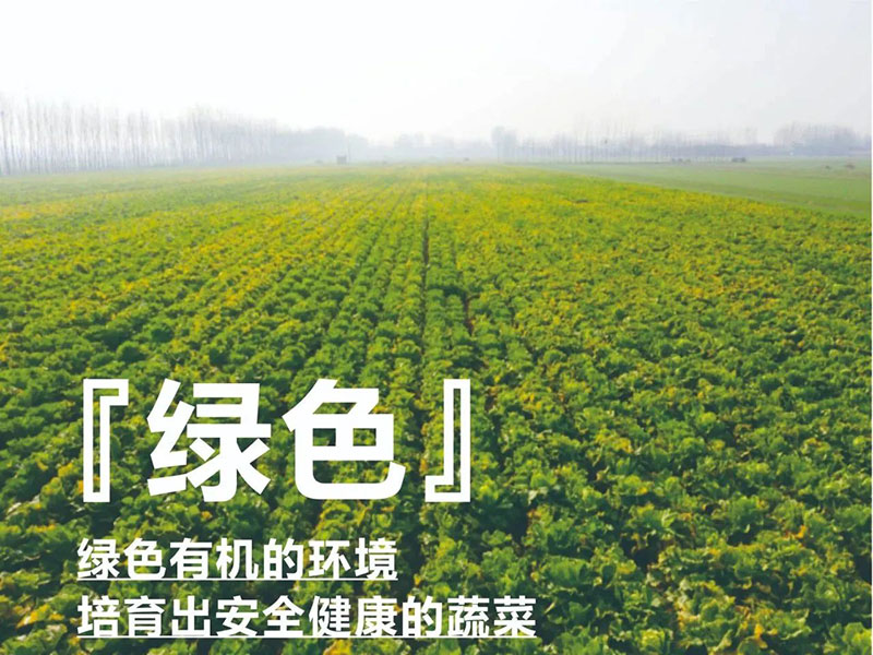 爱心助农，，，，，，，，佰福国际在行动